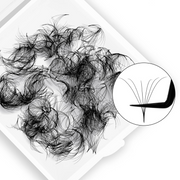 6D Promade Volume Loose Fans Pointy Base(500 Fans)-REAL LASH