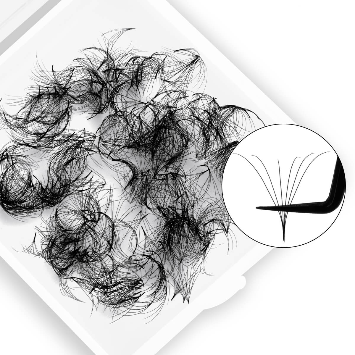 6D Promade Volume Loose Fans Pointy Base(500 Fans)-REAL LASH