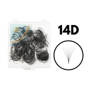 14D Promade Volume Loose Fans Pointy Base(500 Fans)-REAL LASH