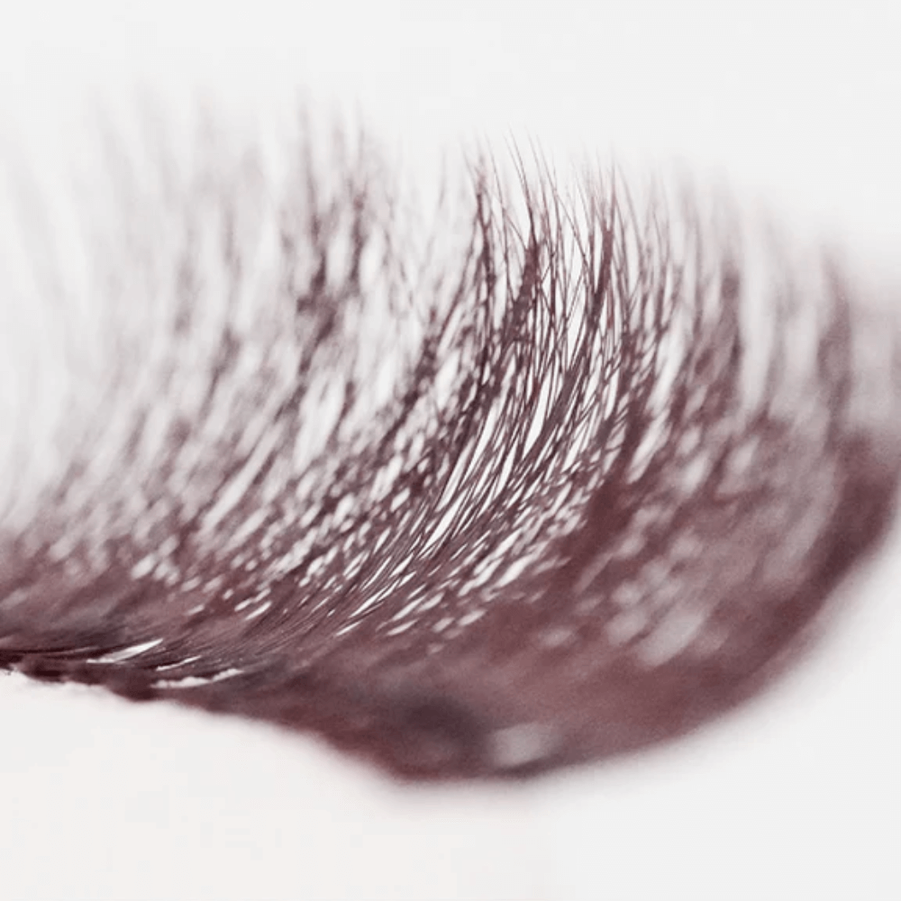 Burgundy Brown Lashes 0.07