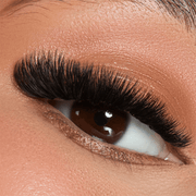 Mega Volume Lashes 0.03mm-REAL LASH
