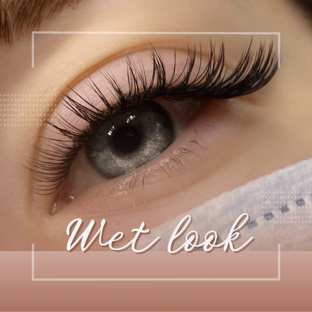 Wet Look Manga Lashes Extensions-REAL LASH