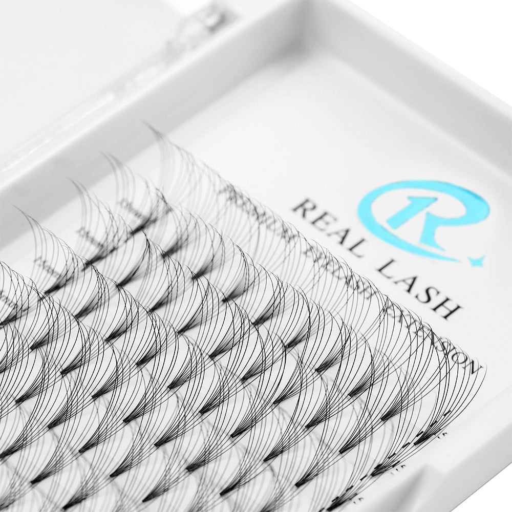 8D MEGA VOLUME FANS - Real Lash