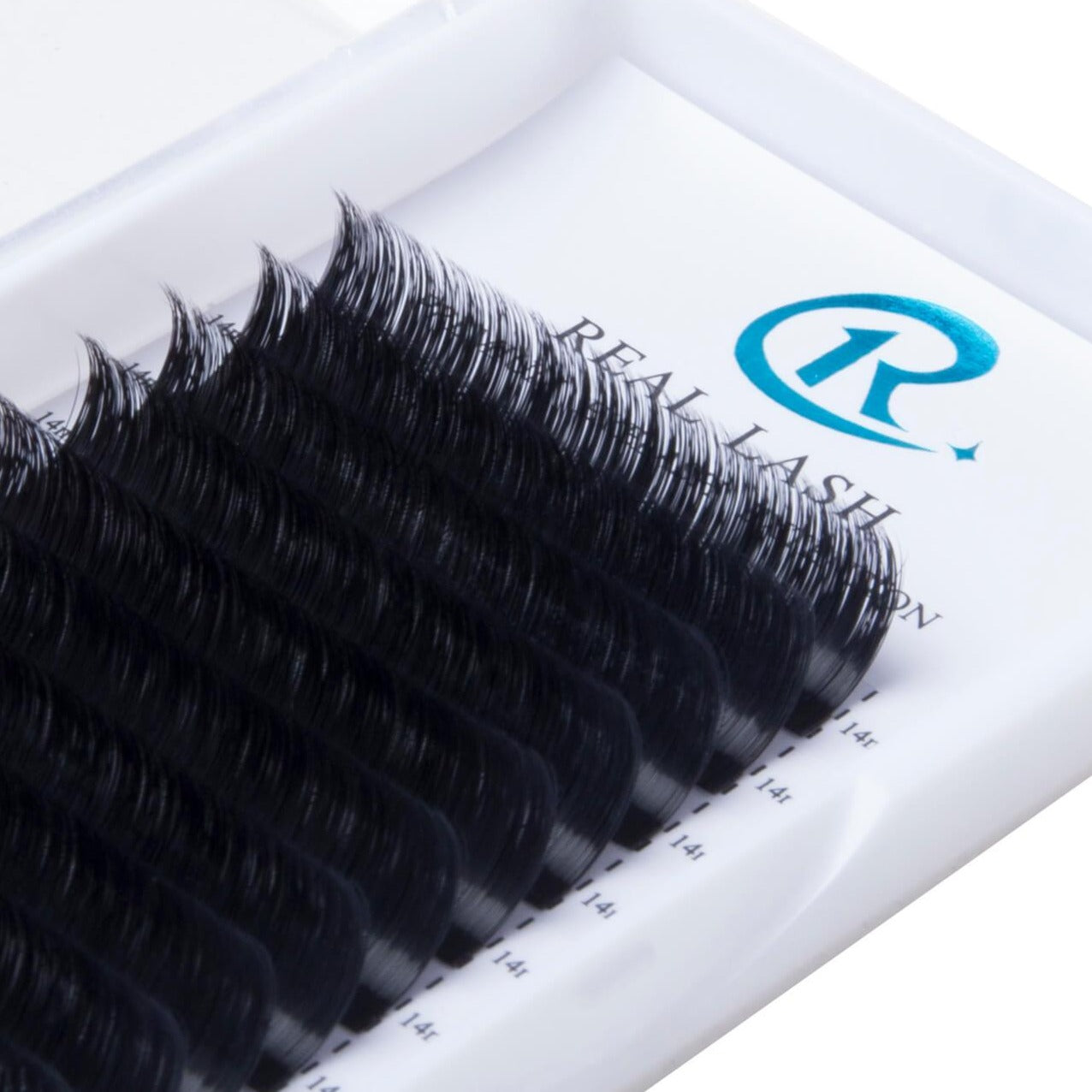 Easy fanning/Blooming lashes 0.03 - Real Lash