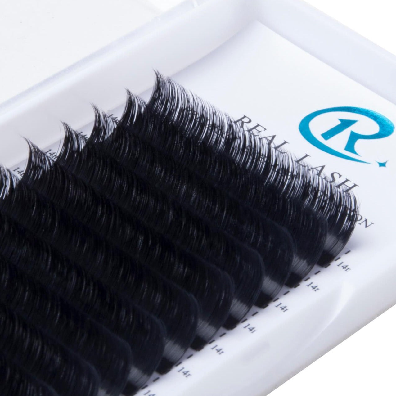 Easy fanning/Blooming lashes 0.07 - Real Lash